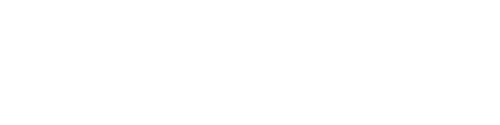 Websonica